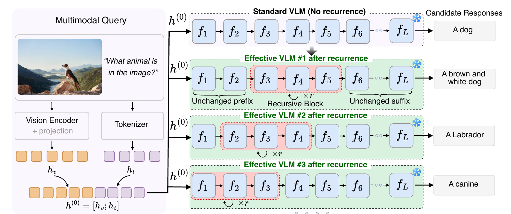 Diagram: an image and question are encoded into h0, which is fed into a standard VLM with layers f1 to fL and three effective VLMs, each repeating a different highlighted window of layers r times, producing different candidate answers such as 'A dog', 'A brown and white dog', 'A Labrador', and 'A canine'.